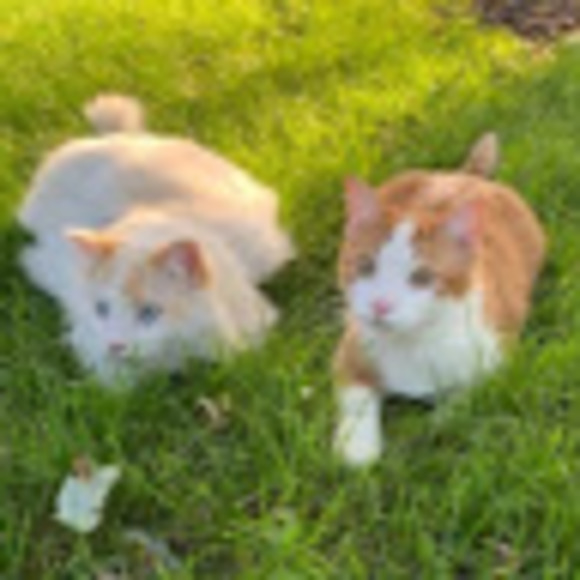 cathyott56